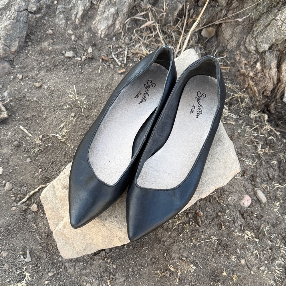 Seychelles flats pointy toe